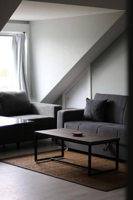 Unique Modern Luxury 2 Bedroom Apartment Rental Chapleau Zewnętrze zdjęcie